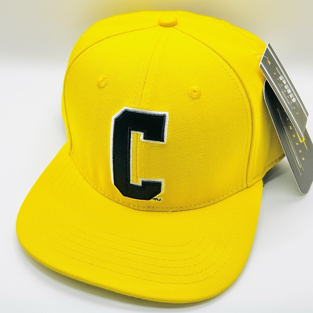 Coppin State Eagles Pro Standard Wool C Logo Hat Cap Snapback Adjustable NCAA